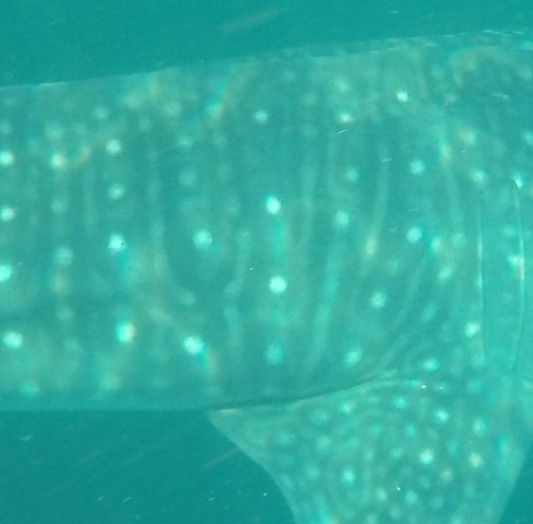 7cd9d171-e124-4899-9f23-9eb25fe63591