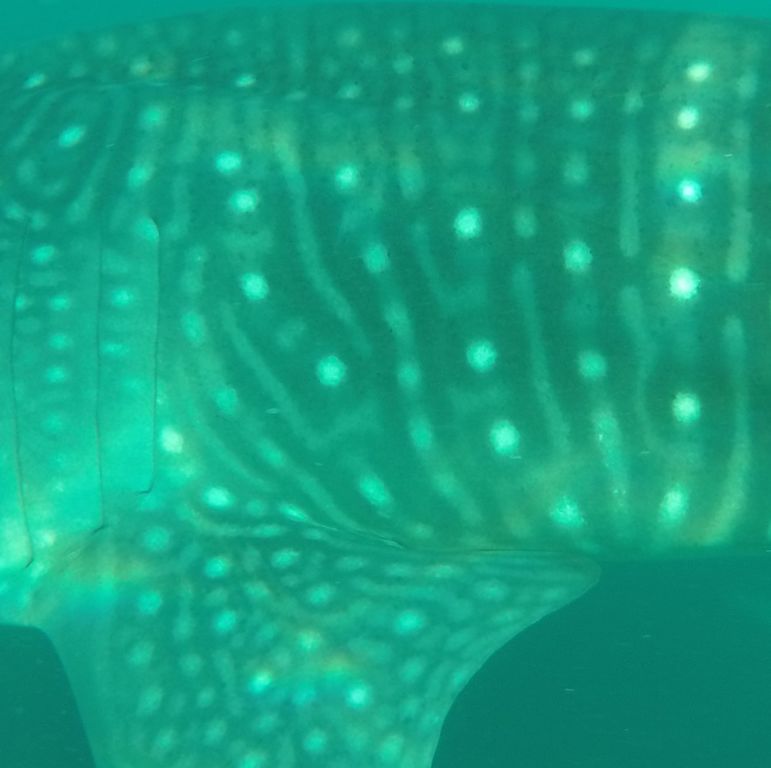 7cd9d171-e124-4899-9f23-9eb25fe63591