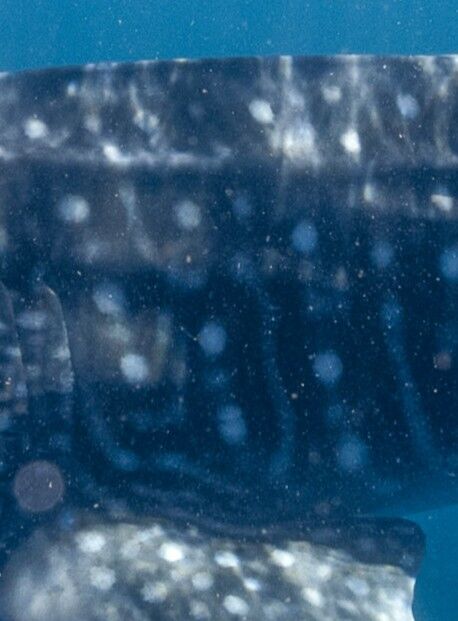 aafd1581-42ae-44d2-833c-a91e4b0bf7b6