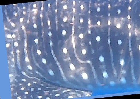 2eb77de9-1170-49a0-b6a2-5b97f72839bf