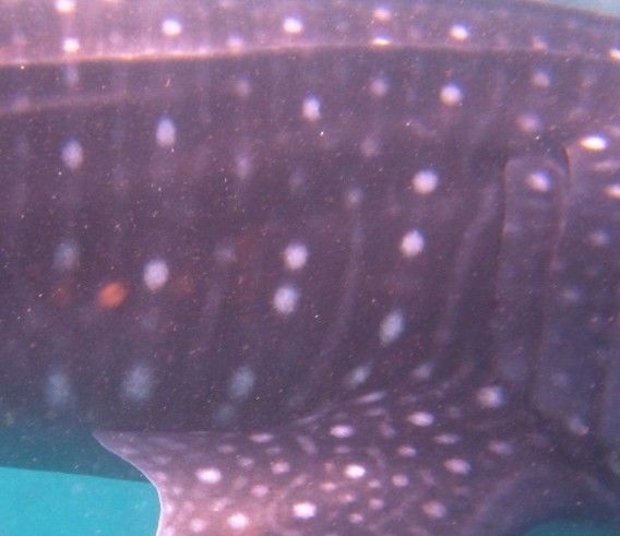 3875d8ae-fae4-408a-a3de-9e55092dec82