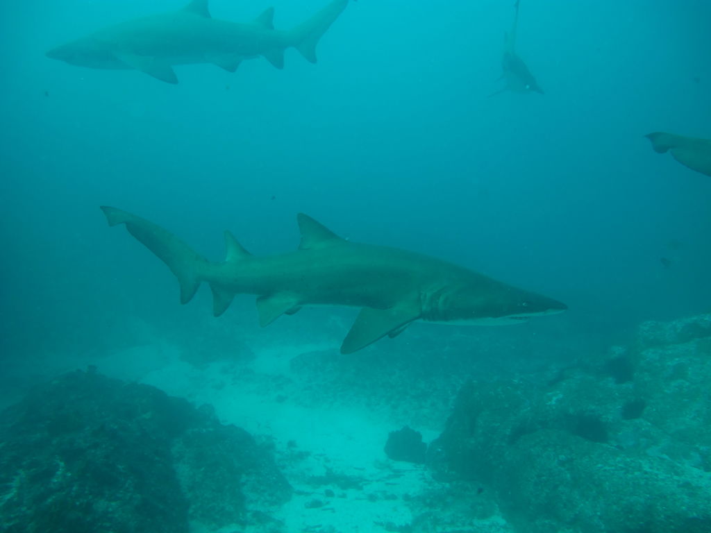 af71d643-e3d4-4dc8-8798-c5b21b859224