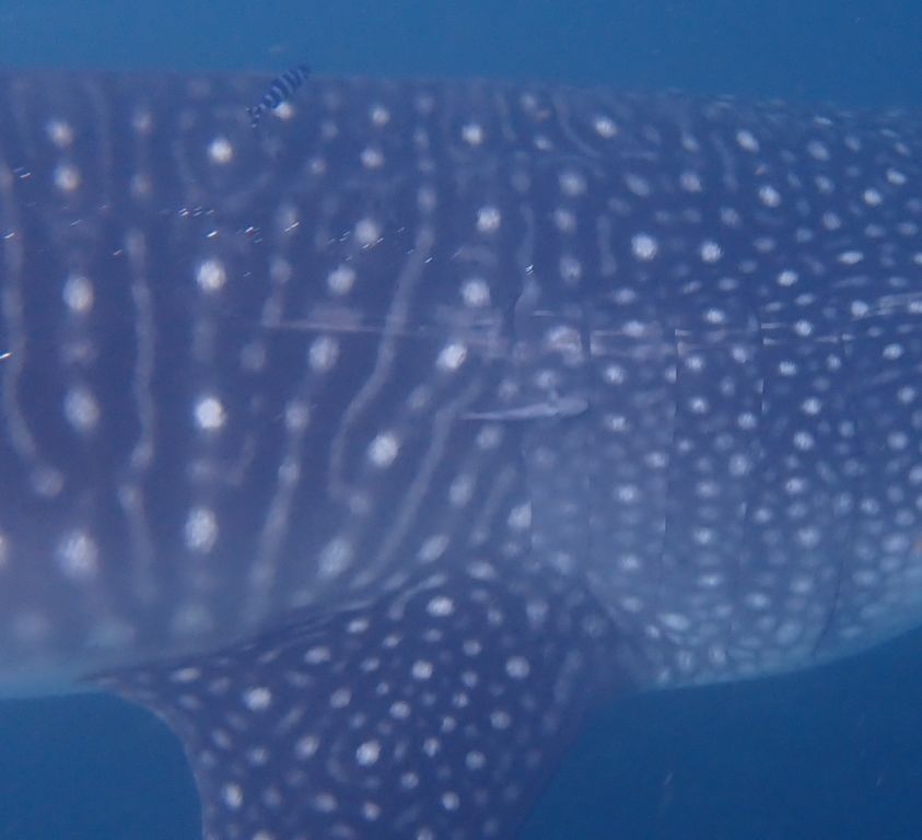 5d49e2c2-92f8-4eba-854e-fe18bd36ebb4