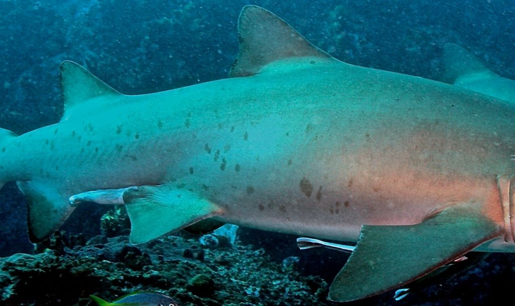 ce0857d2-15bc-4a35-b3d5-f97356aa4d88