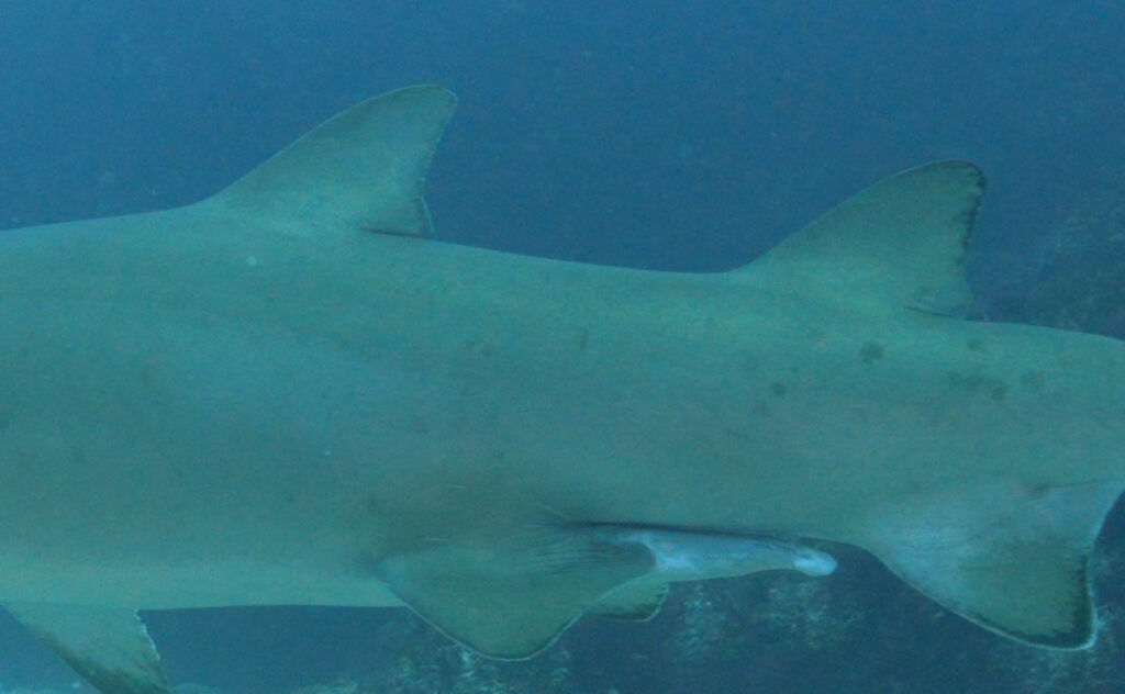 095c7b9a-3d06-4281-86d0-29bc6fcfaba7