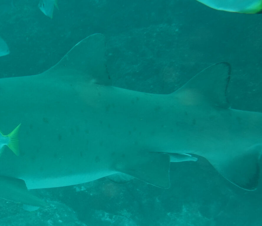 7940193c-518d-437d-962f-a7996138cbed