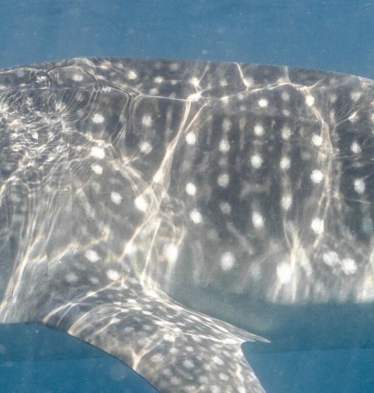 0973216f-56ba-4d97-99f5-bb64f66ddf05