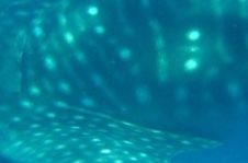 a8015472-2767-4e2b-a499-9c27e1e3b68e