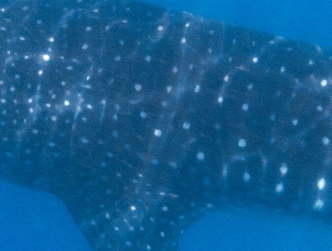 1e9a60c6-82fc-490e-967a-5a161a9d1674