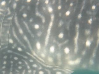 5e4ae340-6389-460f-95e8-0dac176d4293