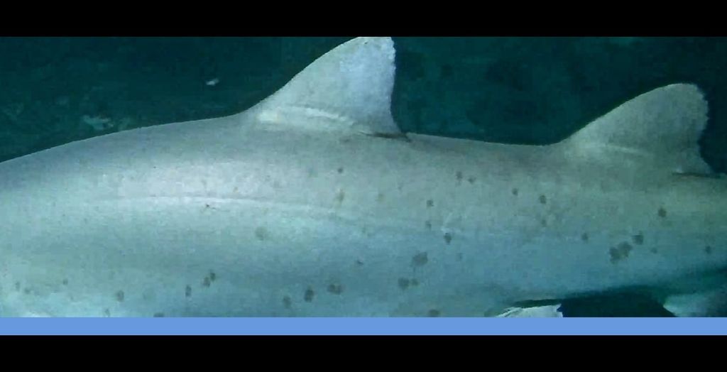 321a52d7-f0ab-42a4-a683-74f2421789b9