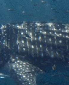 00ddb977-e87c-4c6c-abc3-be228b2bd7e9