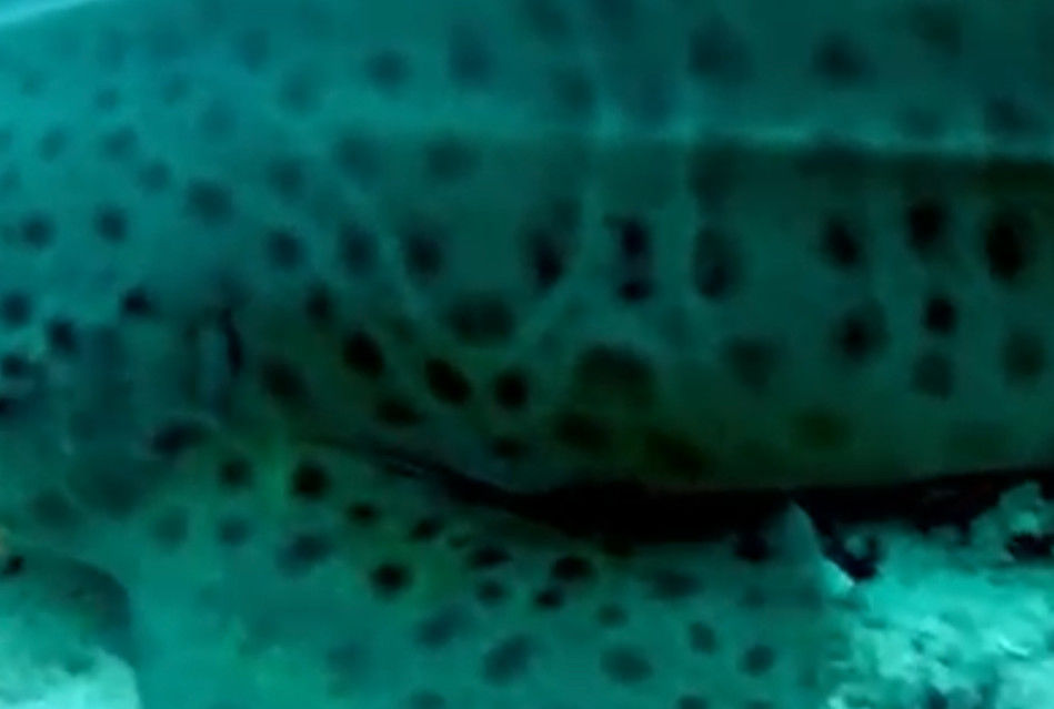 b69c74ab-18a7-4854-87bd-c00ecdbf55b3