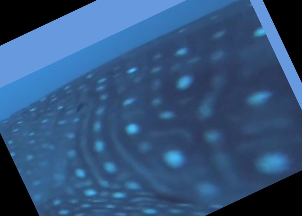 1ef445ce-b623-40b8-bdff-22ad9b44bea0