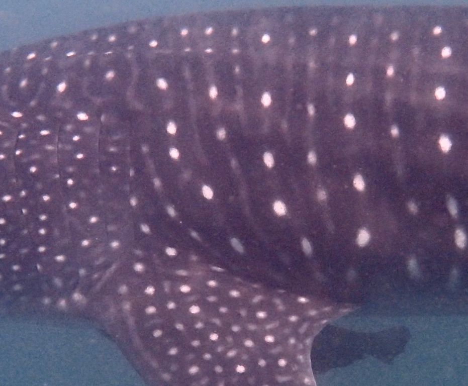 b874bd71-3f21-4553-8f8e-b6d76f61f483