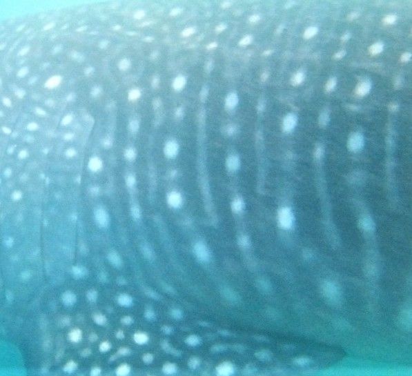 54e3d2af-5e24-4dfb-ab96-ff672d792227