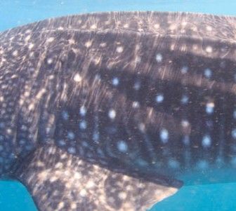 3e930d71-cdc5-45c3-8899-d1db88a8a9b8