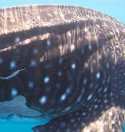 3e930d71-cdc5-45c3-8899-d1db88a8a9b8