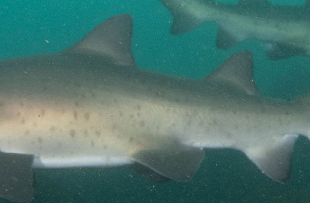 8dbc7c08-80bd-4bef-b925-2408633ee6ad