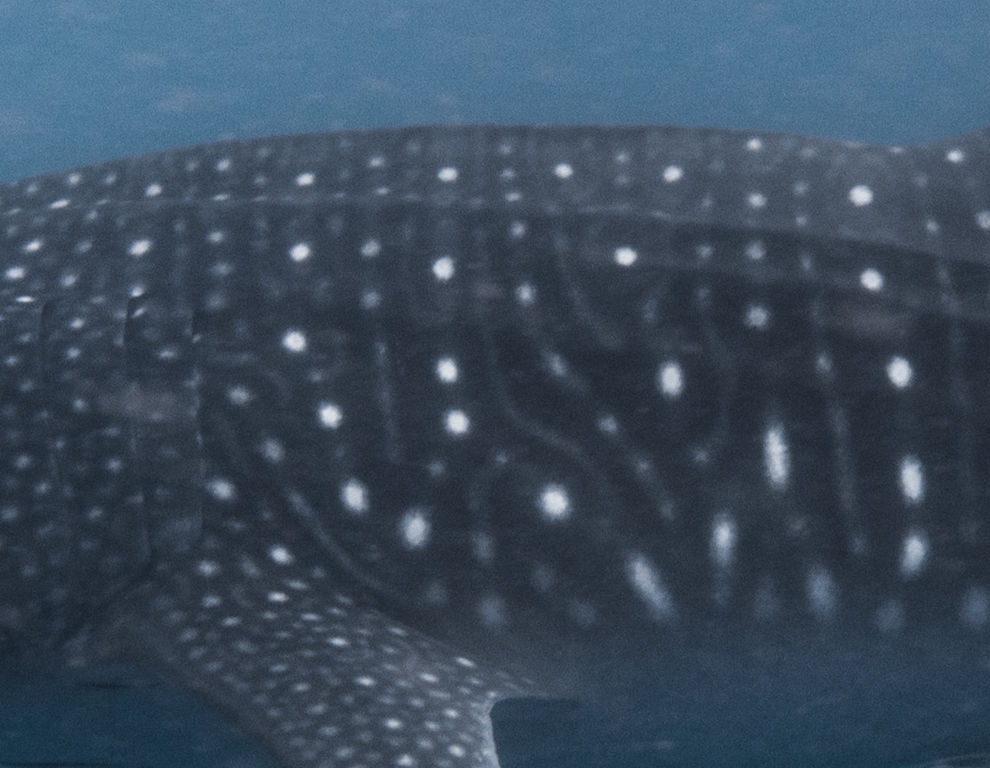 9cb3eb86-7403-41f1-acfa-f1e6e7014e21