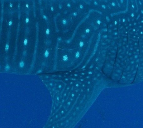 cecd651b-c965-4444-bfd2-68527f54db20