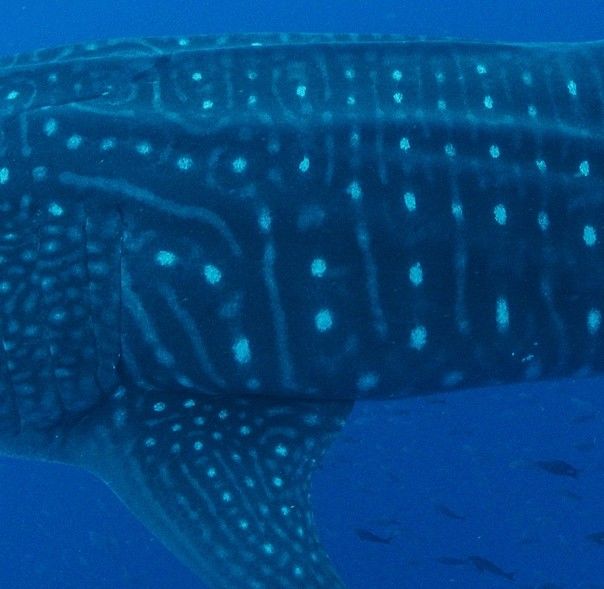 cecd651b-c965-4444-bfd2-68527f54db20