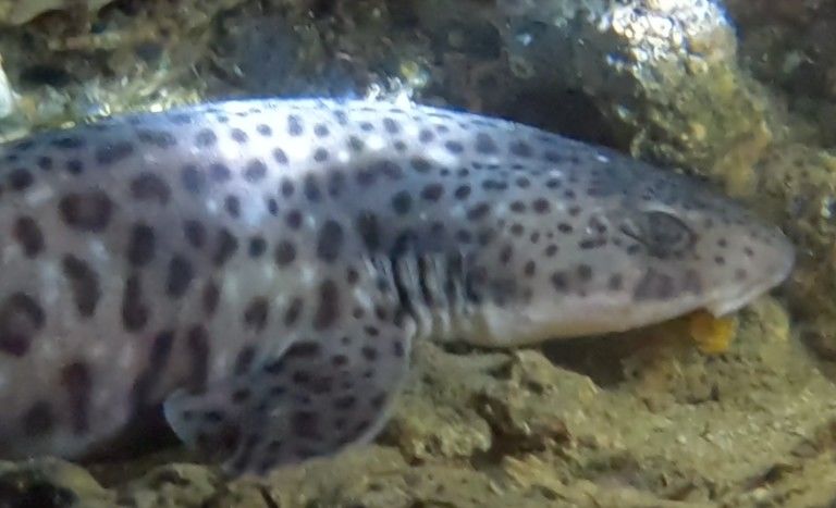 0d9a6d8f-27b0-4a24-8997-645d5e9d416e