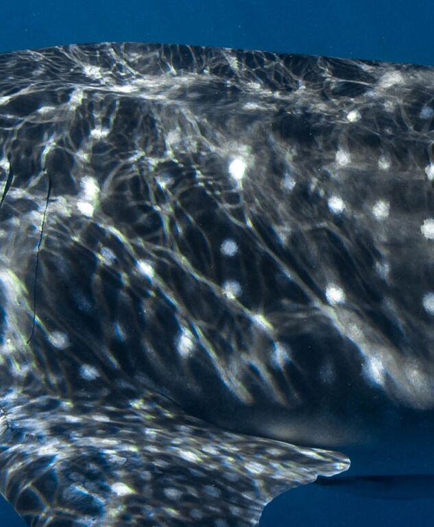 0973216f-56ba-4d97-99f5-bb64f66ddf05