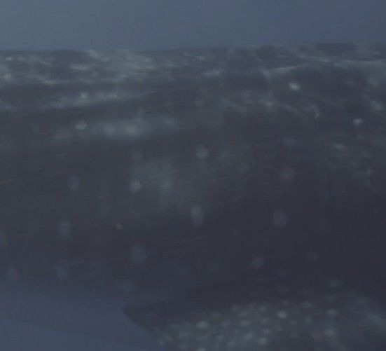 cbb0a567-751e-45df-b00a-15f589d1ddd9