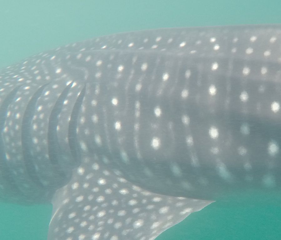 289b6552-937d-4200-b486-caf2f72c91e4