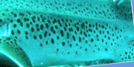 5f69cd08-188e-4505-bef4-f2a347a93e23