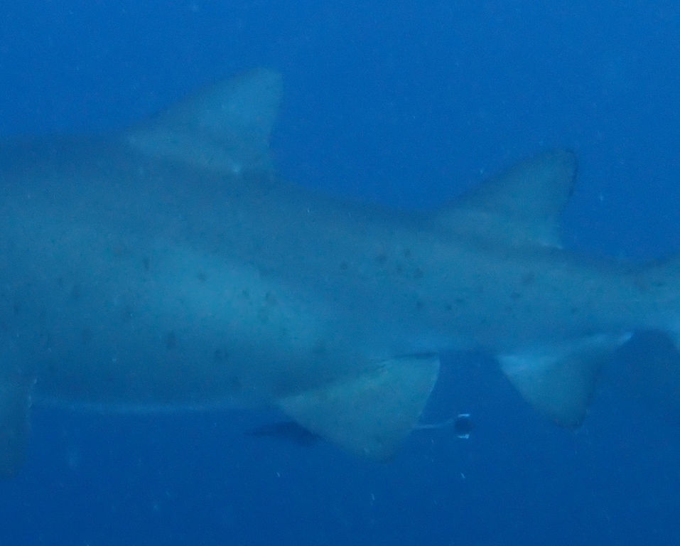 34acc899-6eeb-4f61-85e5-ad64a59fd5ca