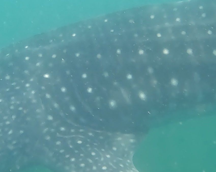 d54d6acf-f0b7-447b-ac16-396e72ea72a4