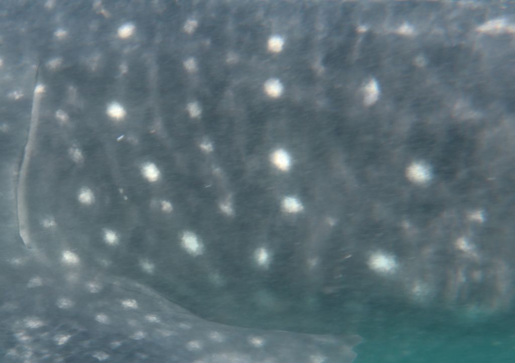 df8e3e9c-a485-40f4-a0ce-f54a59fbd1eb