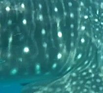 96f63e13-a45f-4746-849e-55beb88fcc6c