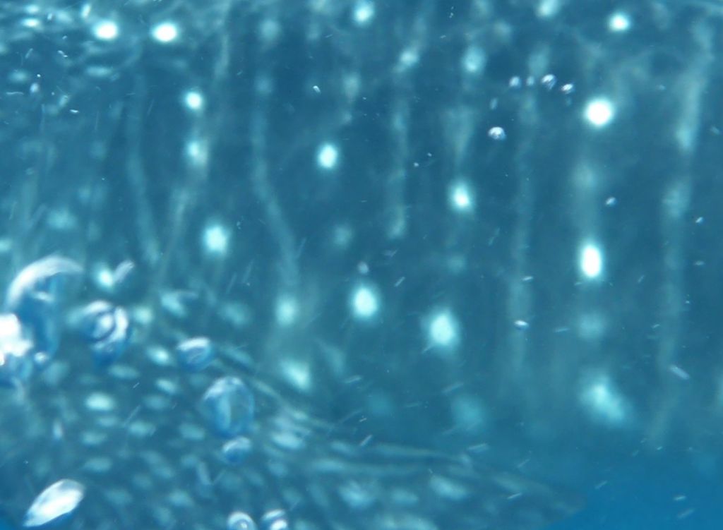 96f63e13-a45f-4746-849e-55beb88fcc6c