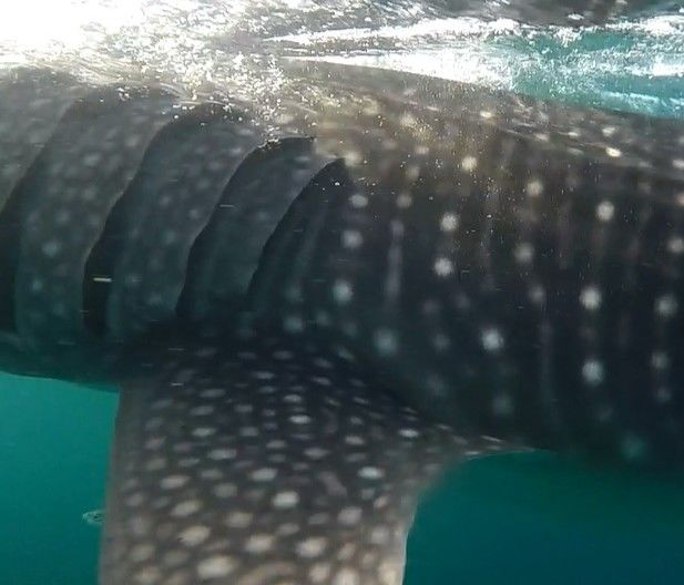 621d270a-8485-43e5-ad34-8c845ff195e3