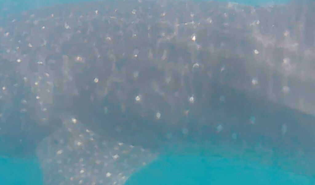 1502e3b5-6d69-4e3f-bee8-e7383e1b7c48