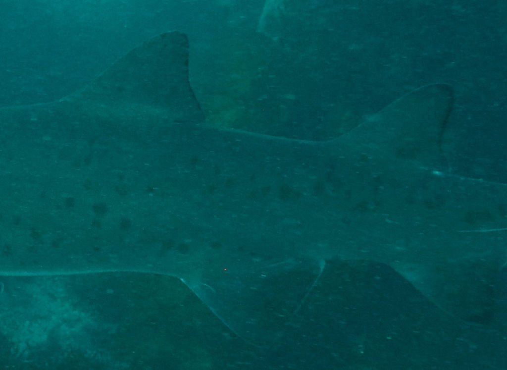 772e9d6f-422a-4278-95b7-93c15fad04e8