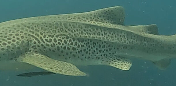 6a4cebb0-6324-47c3-b09a-82911c8f585c