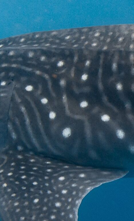 a6de4866-2477-4ead-918d-9e1802070ec7