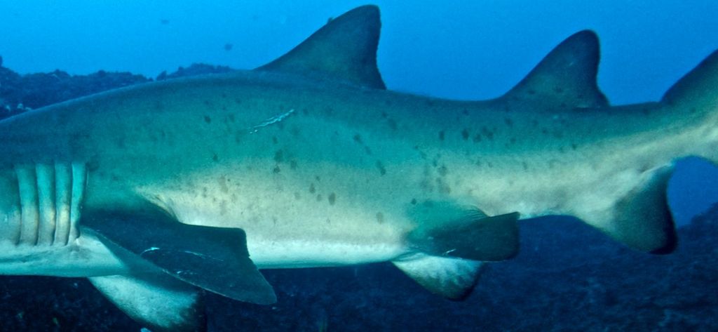 1028a2d5-3d55-4183-bec8-a0f6361bd48a