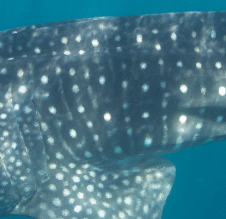 18d98005-41a3-4dfe-ae71-e11f68995621