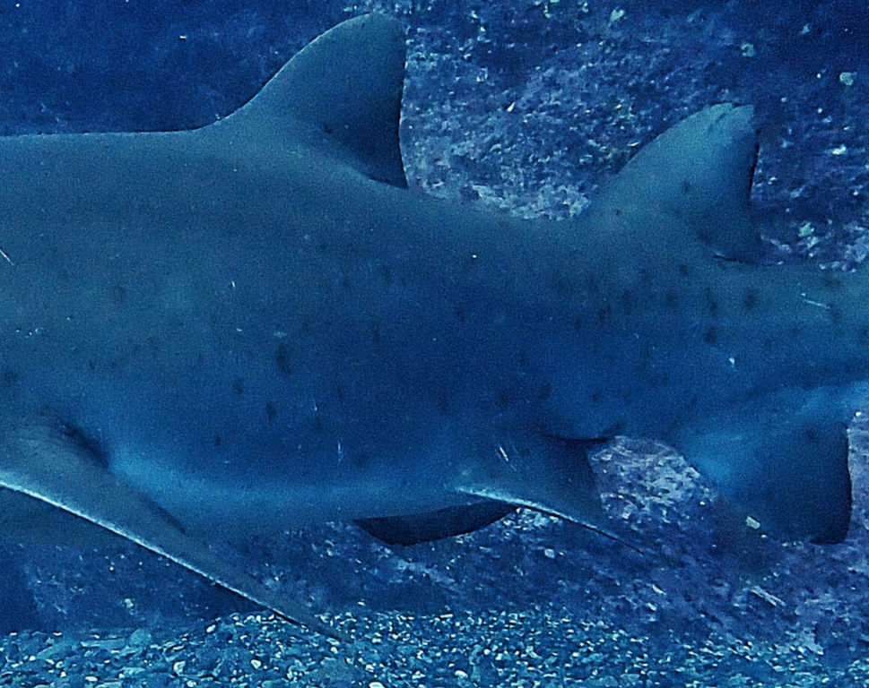 aeb0f978-4f49-4adc-bd15-761b14b27250