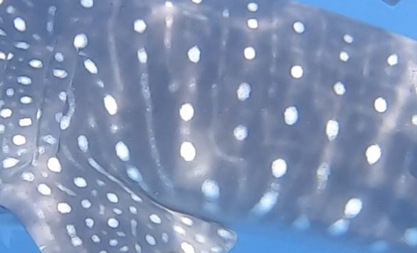 b872aa79-eeed-443e-b934-034bb55dc60c