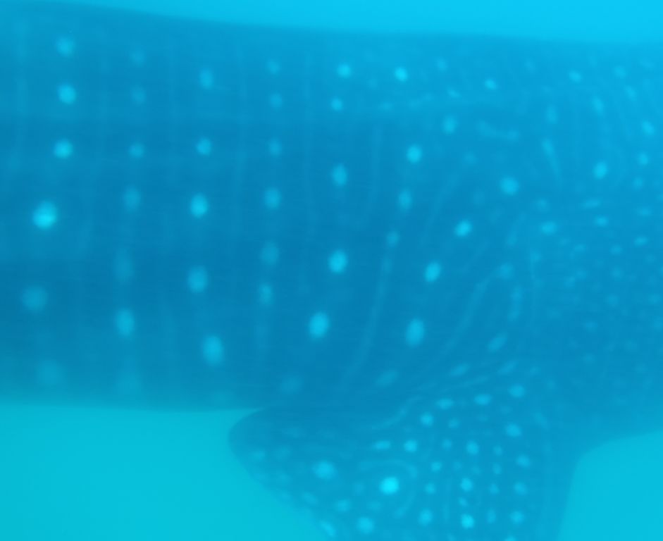 886b2395-9ccc-427e-bc34-c56250544468