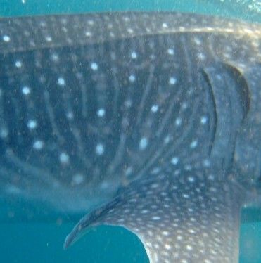 2142c97c-fbf0-4f8b-a708-0a090e0cb94c