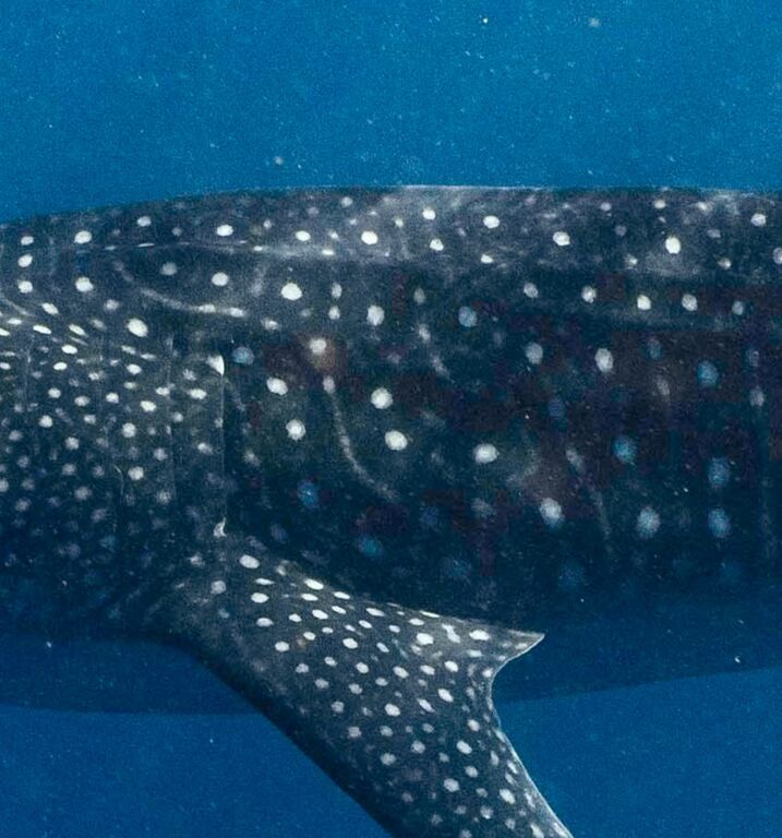 ef9b6953-3a5d-441e-a337-520334cbb34f