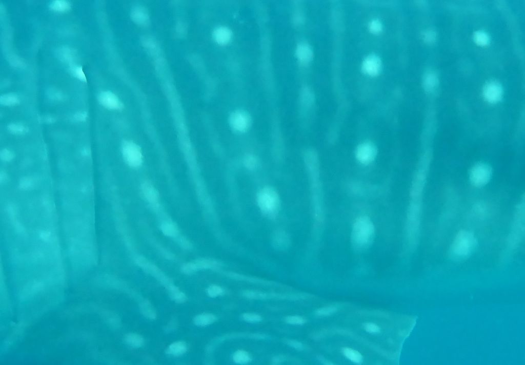 10c3dd33-569e-440f-91d2-47d39e5b0fa6