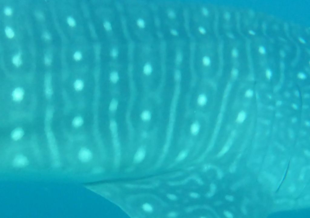 10c3dd33-569e-440f-91d2-47d39e5b0fa6